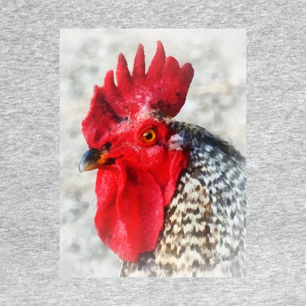 Chickens - Portrait of a Rooster by SusanSavad